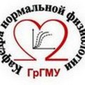 The II stage of Olympiad