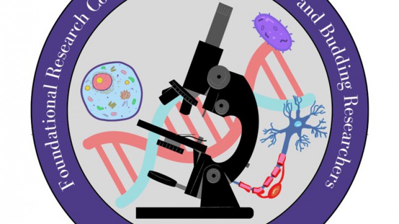 Foundational Research Course for Young Scientists and Budding Researchers