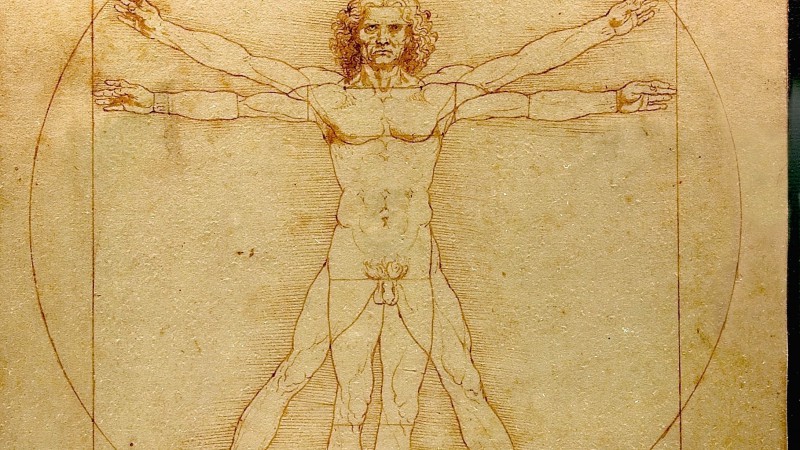 The "Anatomical Drawing" competition