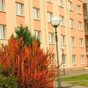 The University Clinic