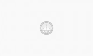 Спортивное ориентирование