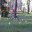 DSCN1445
