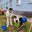 8d923159-1896-4c67-b140-83bc55348a51
