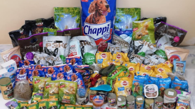 еда собакам