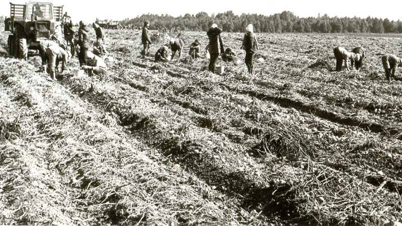 Студотряды ГМИ. Образованы в 1961 году