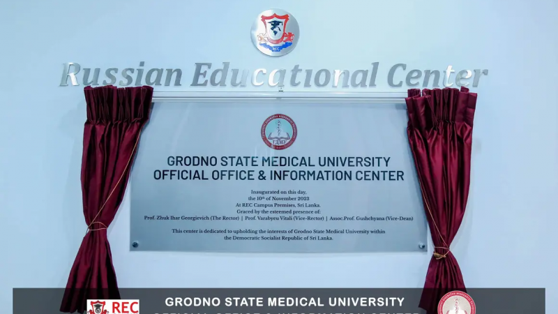 image-11-11-23-12-48-1