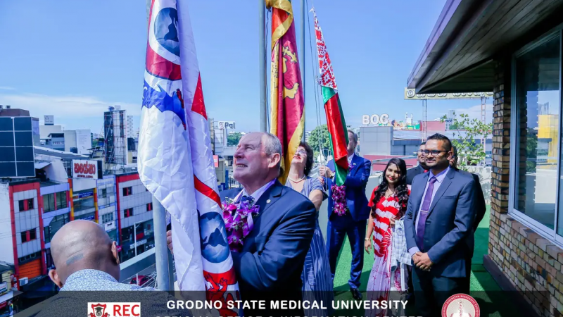 image-11-11-23-12-48-3