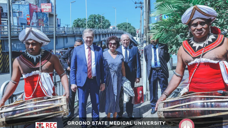 image-11-11-23-12-48-5