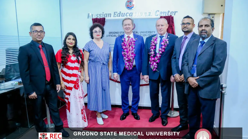 image-11-11-23-12-48-7