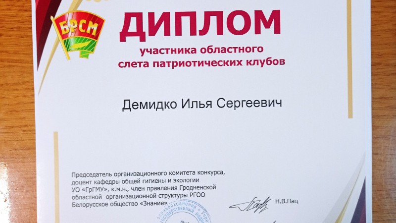 Демидко И.С. диплом