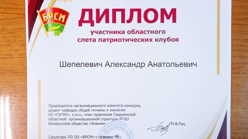 Шепелевич А.А. диплом