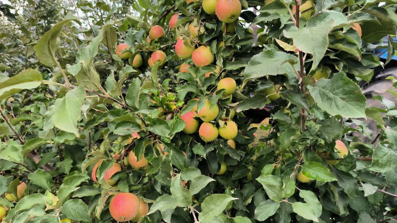 photo_2024-09-16_09-24-31