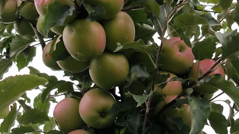 photo_2024-09-16_09-24-31 (8)