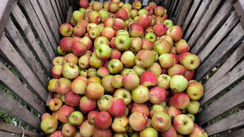 photo_2024-09-16_09-24-31 (6)