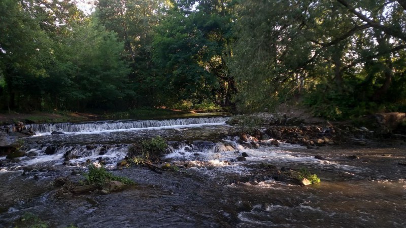 Река Лососянка, г. Гродно. Серик Анна Викторовна, ПФ, 1 курс 13 группа