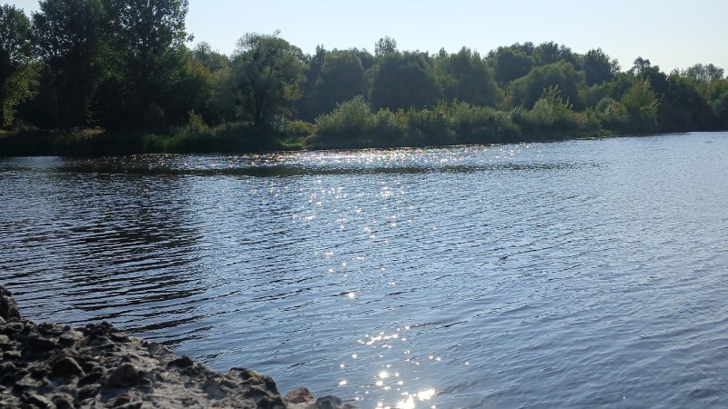 Река Пина. Сарбаш Марина Юрьевна. ЛФ, 5 курс, 8 группа