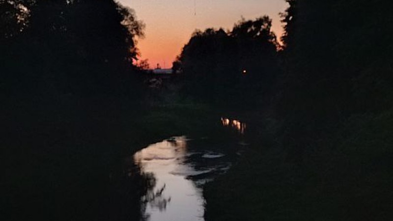 Река Зельвянка. Крицкая Ольга Петровна. ЛФ, 5 курс, 8 группа