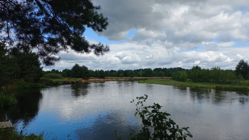 Река Щара. Крицкая Ольга Петровна. ЛФ, 5 курс, 8 группа