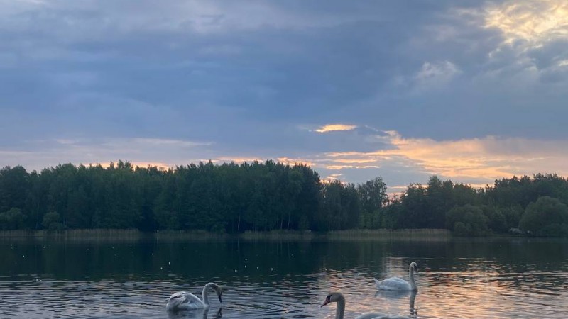 Водохранилище Дрозды, г. Минск. Литвинович Светлана Сергеевна, МПФ, 3 курс 4 группа
