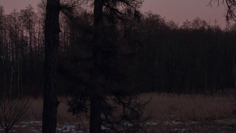 Водохранилище Лошица, г. Минск. Литвинович Светлана Сергеевна, МПФ, 3 курс, 4 группа