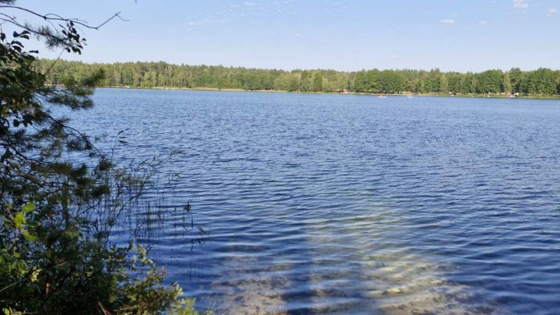 Озеро Белое. Шайтор Мария Александровна, ЛФ, 1 курс, 10 группа