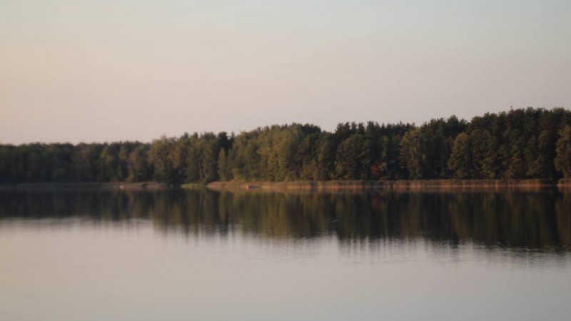 Озеро Молочное, аг. Поречье. Карпейкина Софья Алексеевна, 3 курс 9 группа