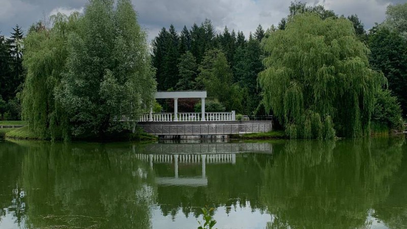Лебединое озеро, Ботанический сад в Минске. Кривко Анастасия Юрьевна, ЛФ, 1 курс 3 группа