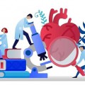 I Белорусская кардиологическая олимпиада студентов и молодых учёных