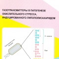 Издана монография "Газотрансмиттеры в патогенезе окислительного стресса, индуцированного липополисахаридом"