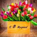 С Международным женским днём!