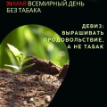 Неделя профилактики табакокурения