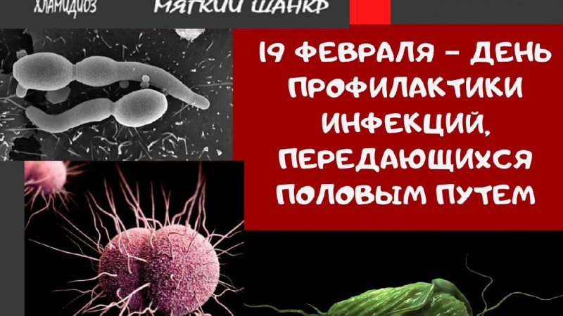 День профилактики инфекций, передающихся половым путем
