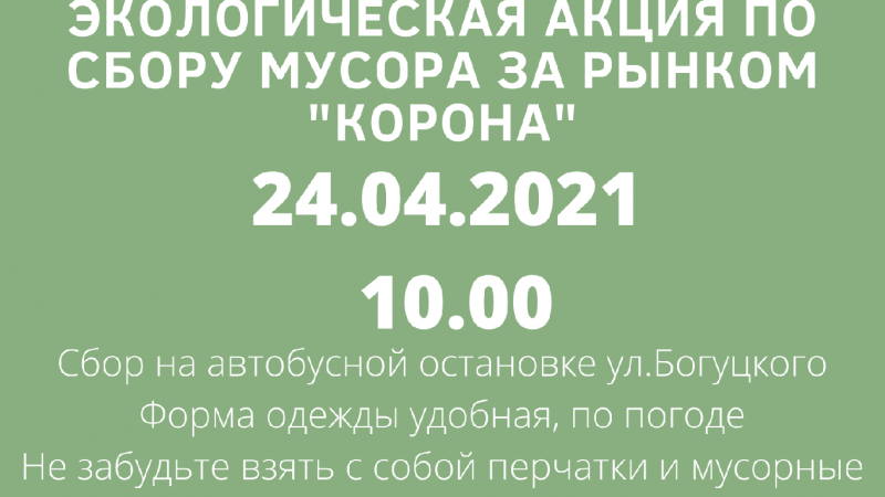 Акция по сбору мусора
