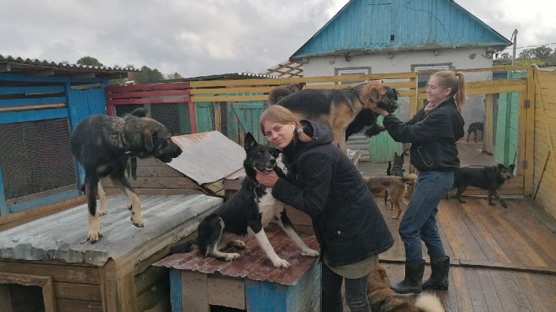 «CARDIS» В «ДОБРОМ СЕРДЦЕ»