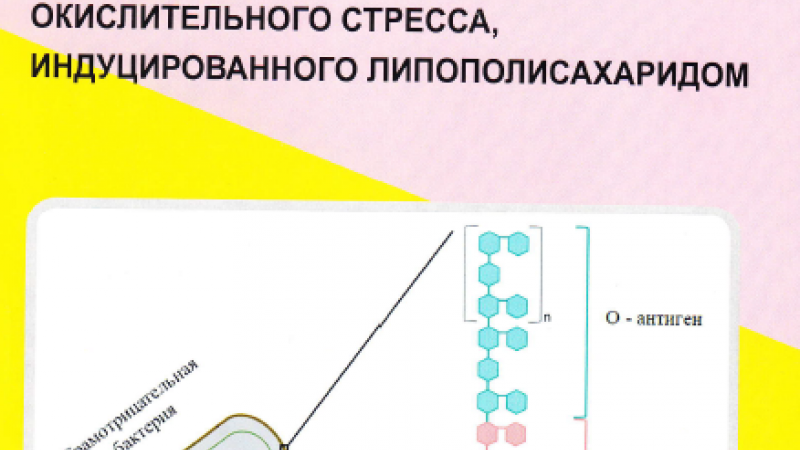 Издана монография "Газотрансмиттеры в патогенезе окислительного стресса, индуцированного липополисахаридом"