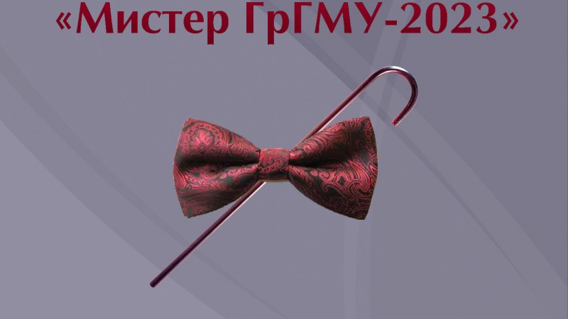 Мистер ГрГМУ-2023