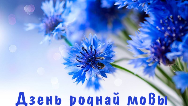 Конкурс эсэ, прысвечаны Міжнароднаму дню роднай мовы