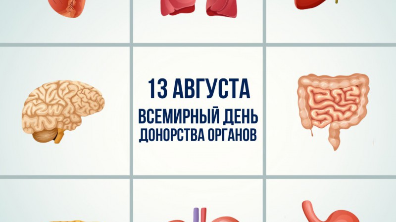 13 августа – Всемирный день донорства органов