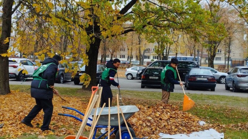 С заботой об экологии. Студенты ГрГМУ приняли участие в трудовом десанте по уборке листьев