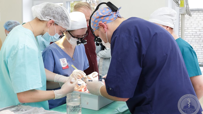 Олимпиада по топографической анатомии и оперативной хирургии