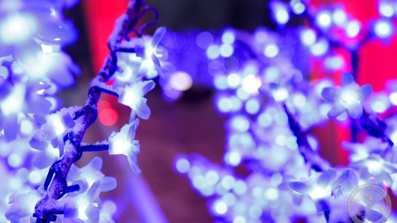 «Звон новогодних колокольчиков»: в Гродно 20 декабря состоится праздничное шествие Дедов Морозов и Снегурочек