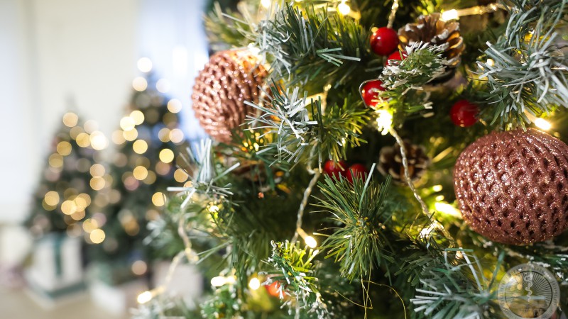 Одно слово – целая история. «Слово года» от руководства ГрГМУ