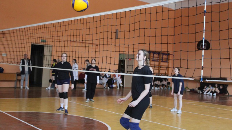 Волейбол среди девушек общежитий учреждений образования города Гродно
