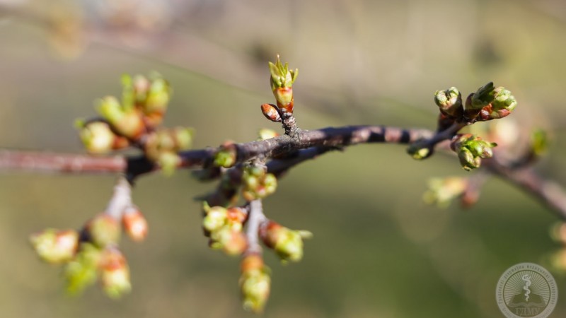 18 апреля в Беларуси пройдет республиканский субботник