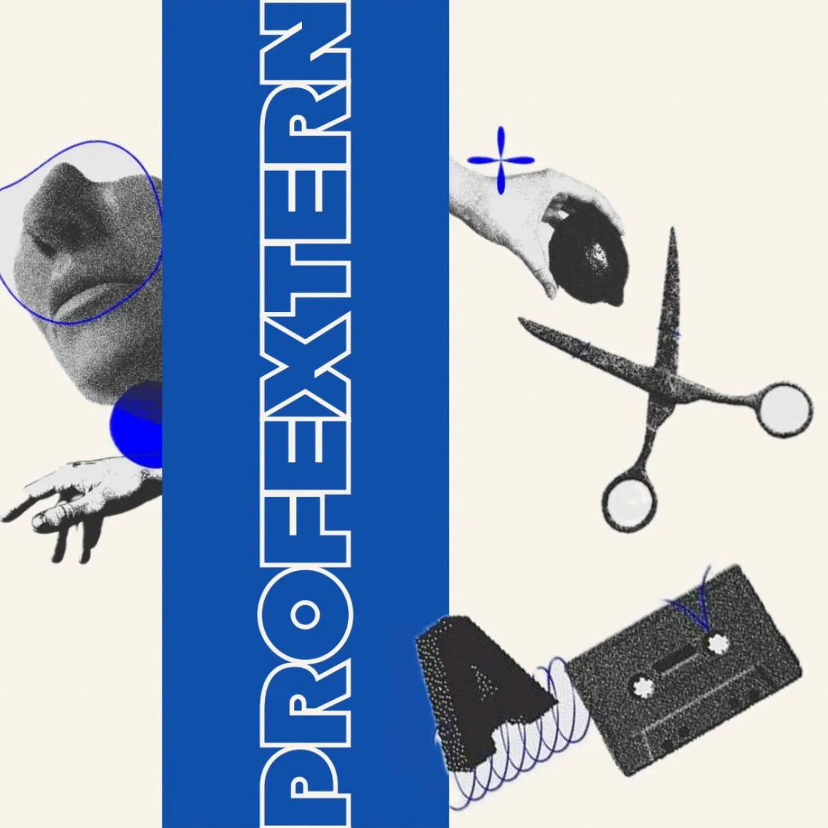 Profextern - это возможность взглянуть на свою профессию!