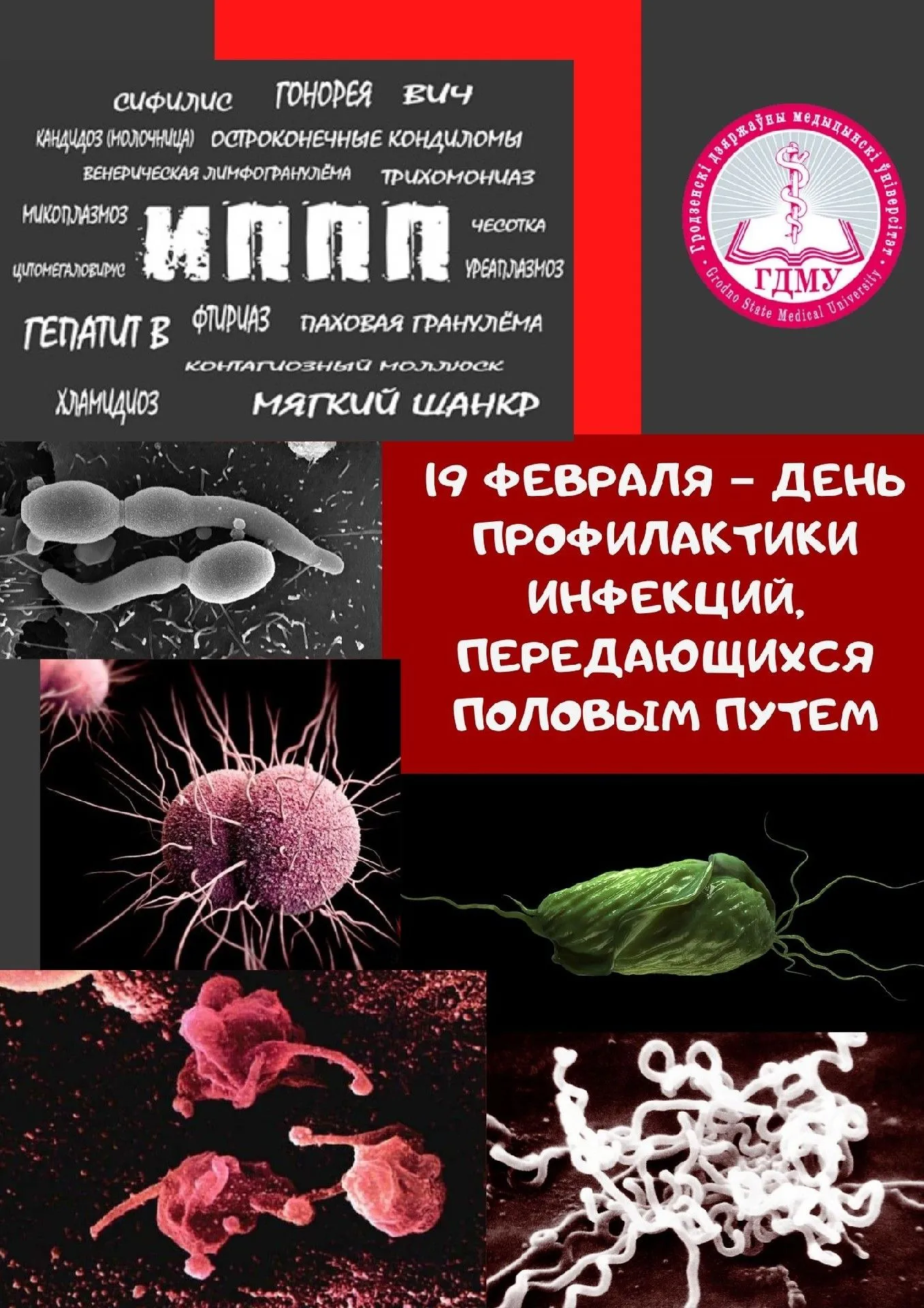 День профилактики инфекций, передающихся половым путем