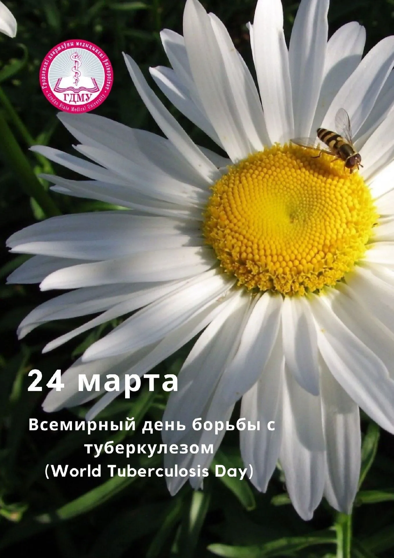 Всемирный день борьбы с туберкулезом