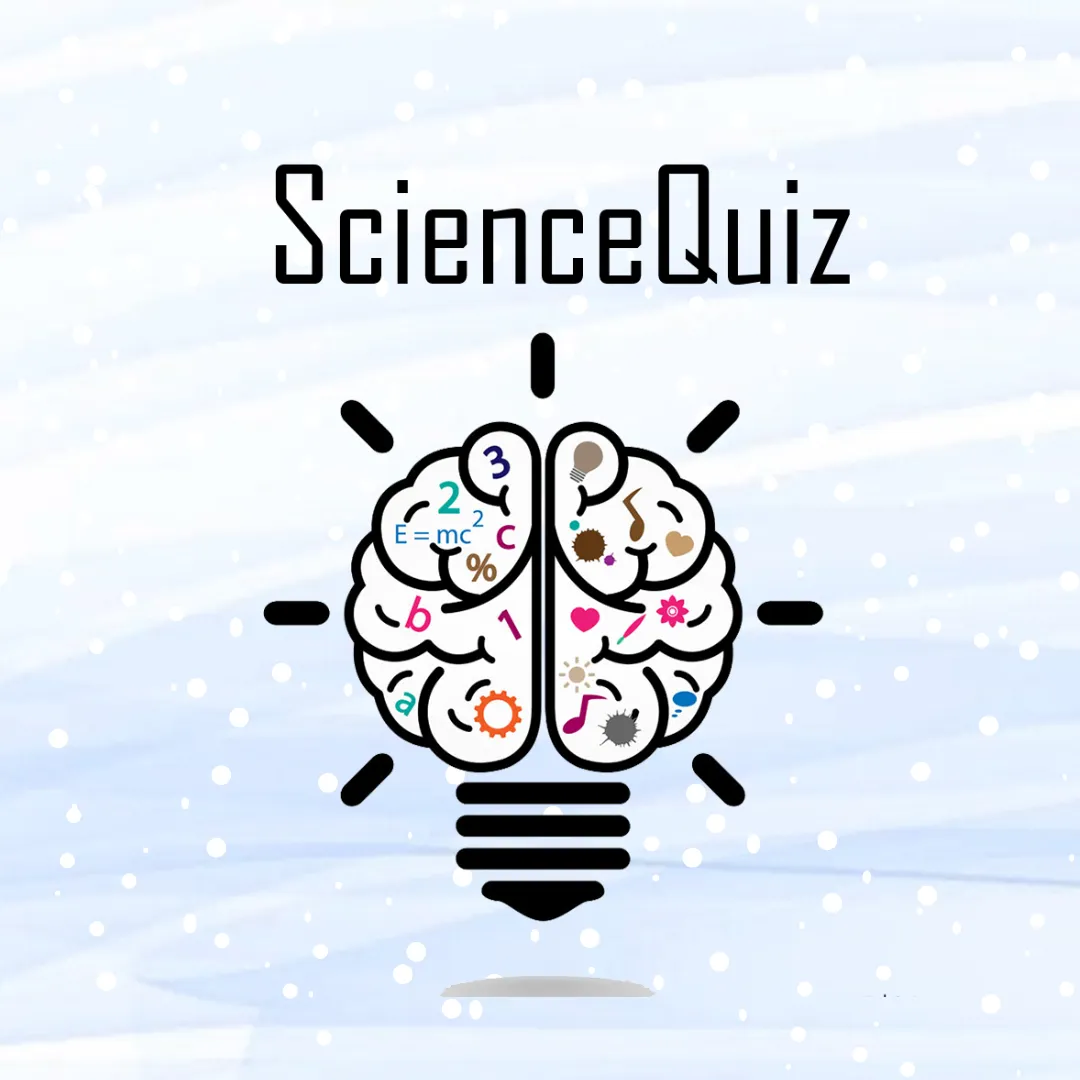 Новогодний благотворительный ScienceQuiz