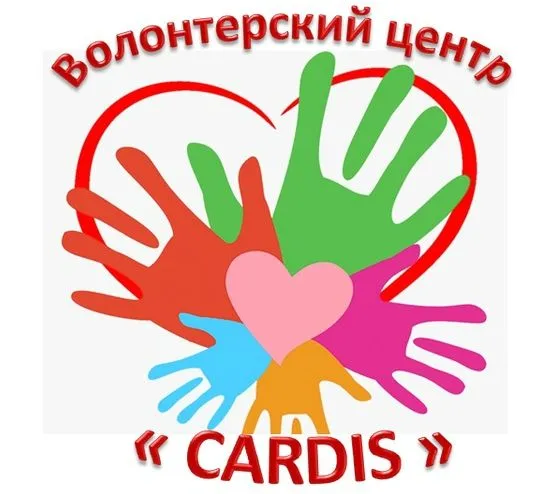 «Cardis» на границе