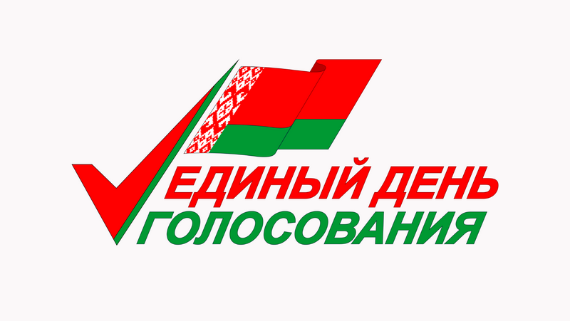 В Беларуси стартовал период предвыборной агитации
